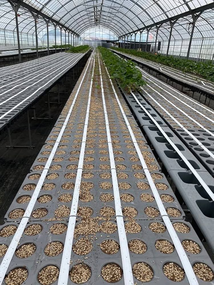 Amazon | 点滴チューブ：白7㎝/1000m | 農業・園芸用資材